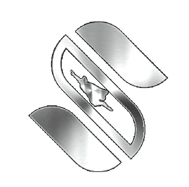 استیل من